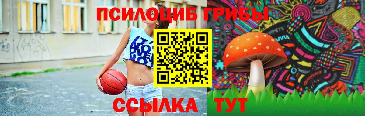 Галлюциногенные грибы GOLDEN TEACHER  Вход с VPN  где можно купить наркотик  Кизляр 